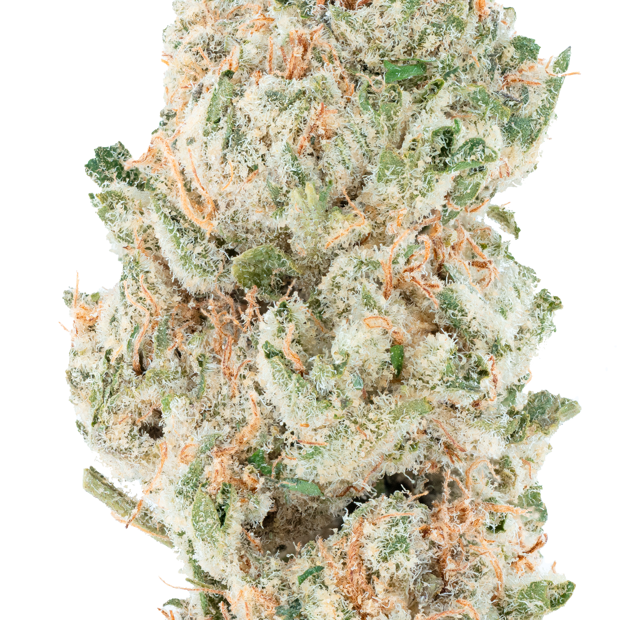 Snowing Candy IceFlash