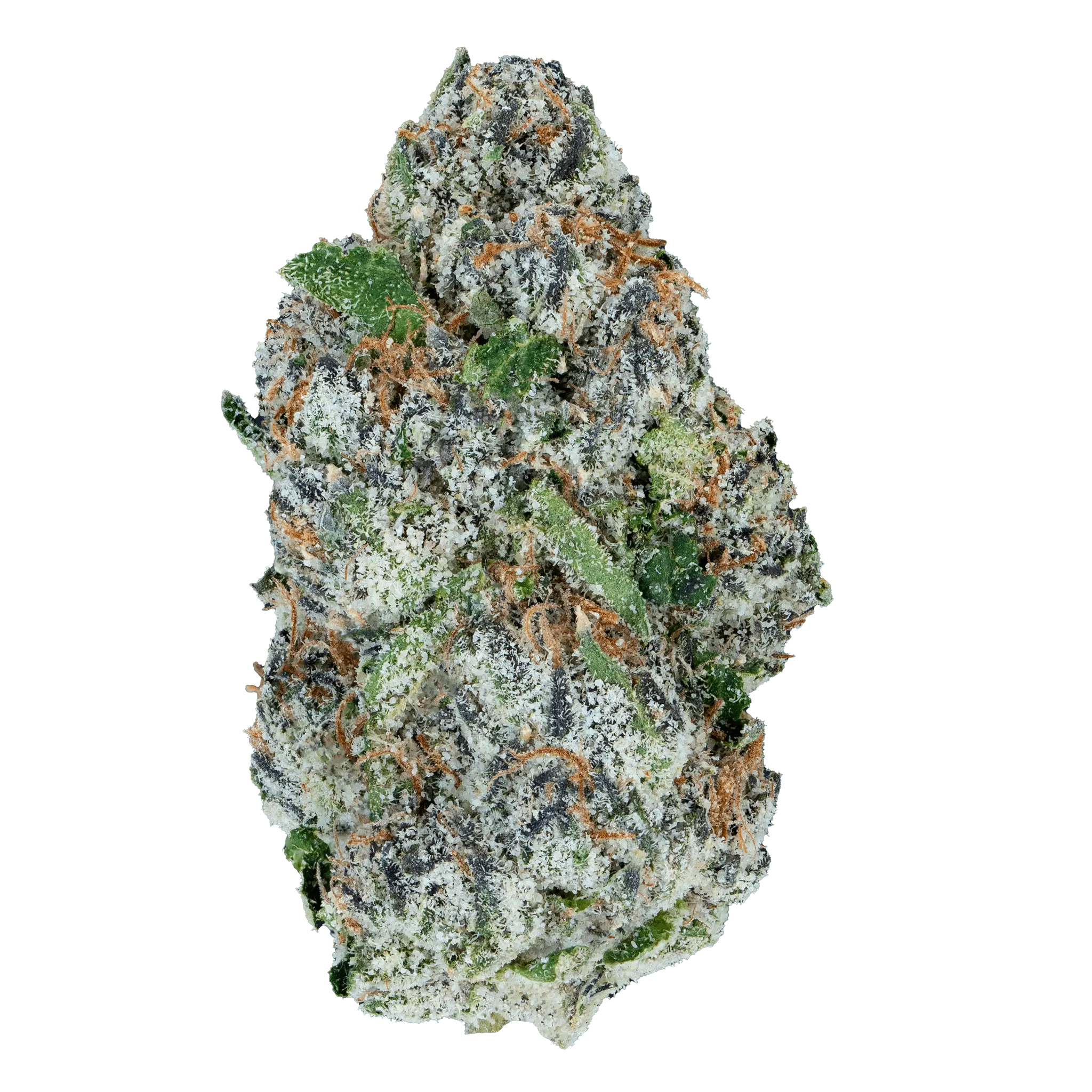 Alien ET - THCa Flower - Bay Smokes