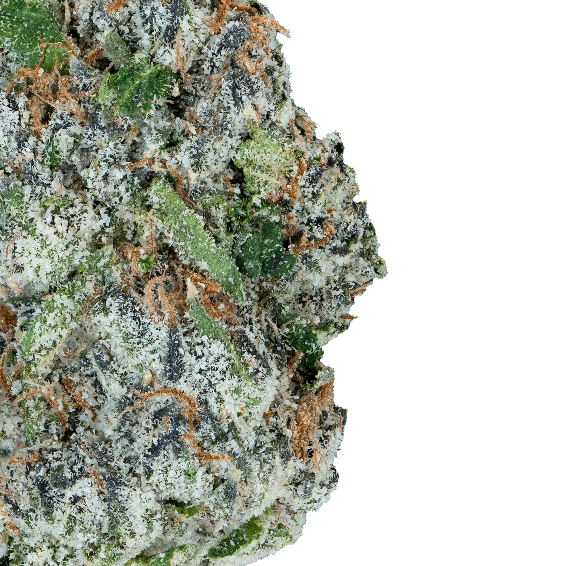 Alien ET - THCa Flower - Bay Smokes