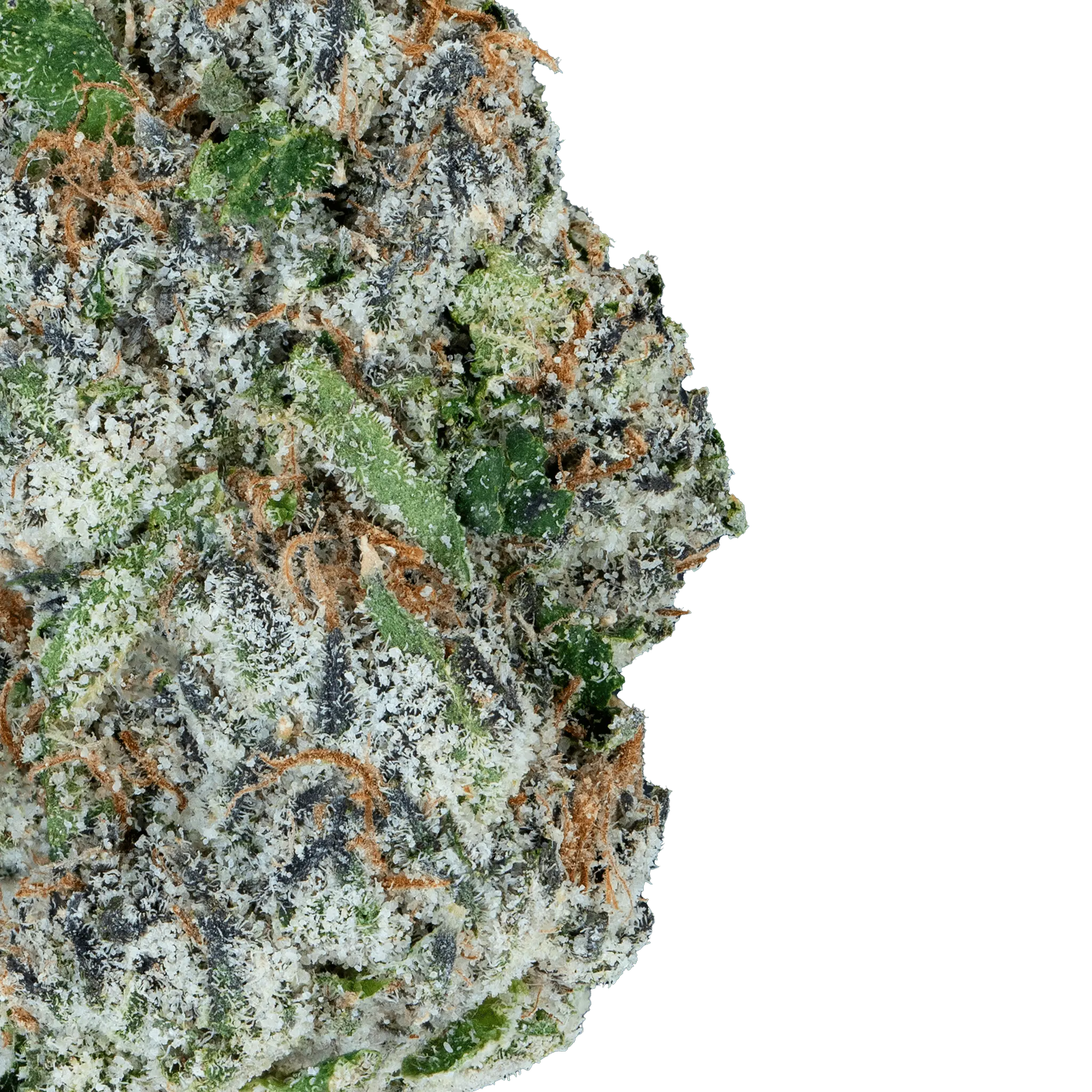 Alien ET - THCa Flower - Bay Smokes