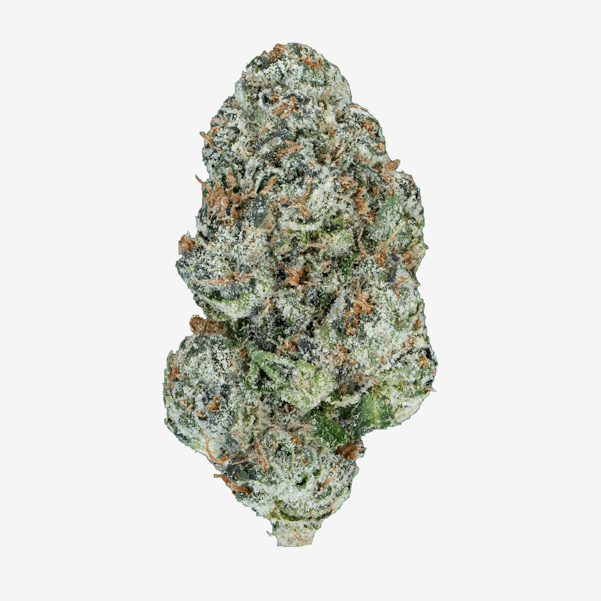 Super Zoldier Serum– THCa Flower - Bay Smokes