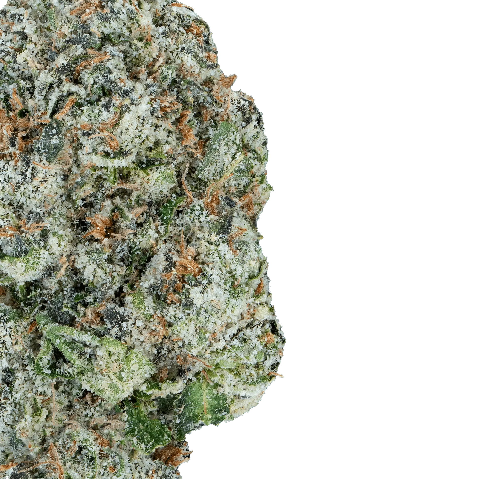 Super Zoldier Serum– THCa Flower - Bay Smokes