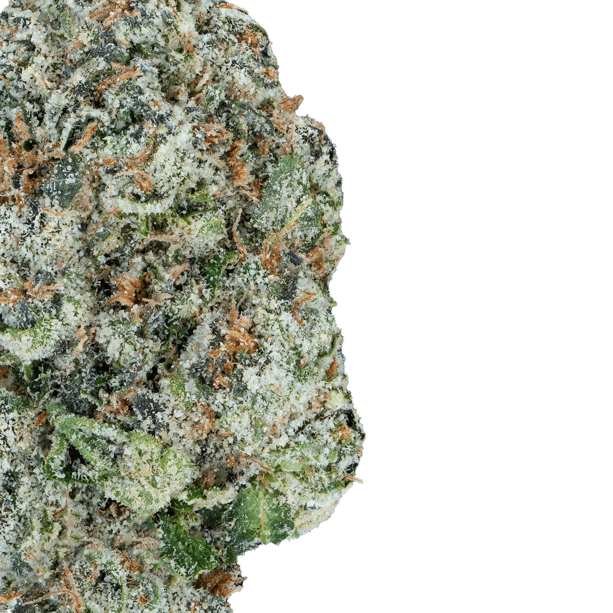 Super Zoldier Serum– THCa Flower - Bay Smokes