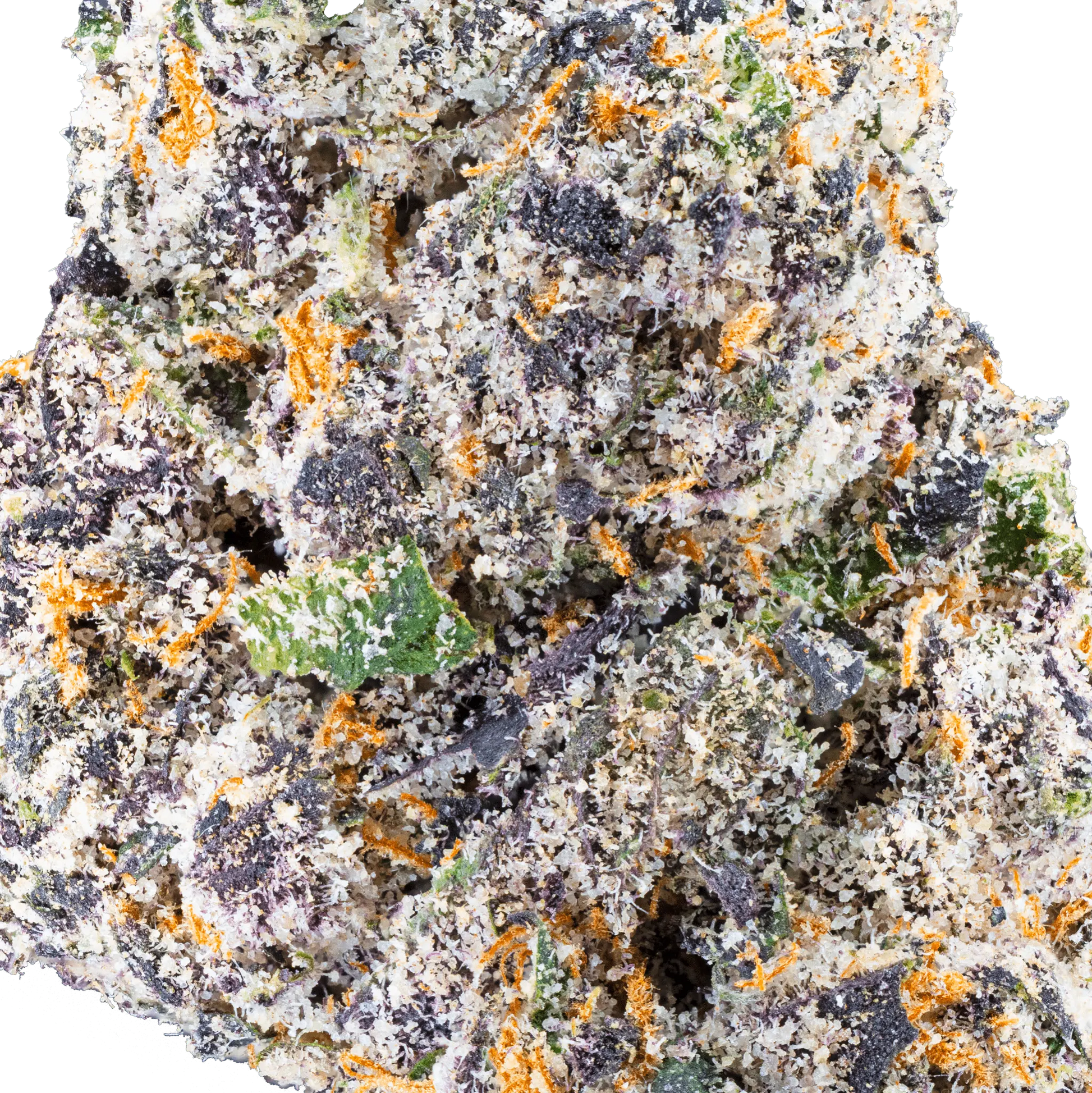 White Truffle – THCa Flower - Bay Smokes