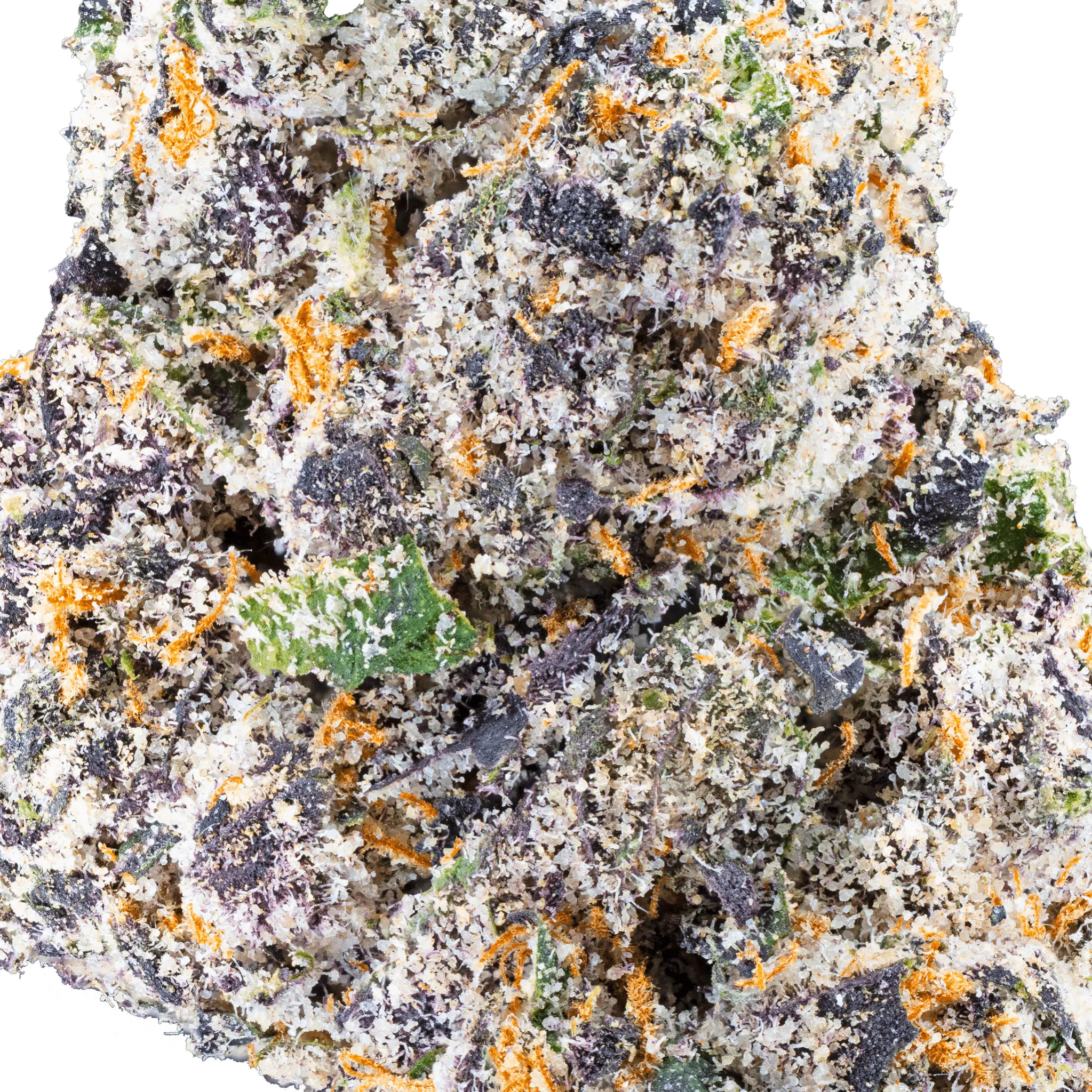 White Truffle – THCa Flower - Bay Smokes