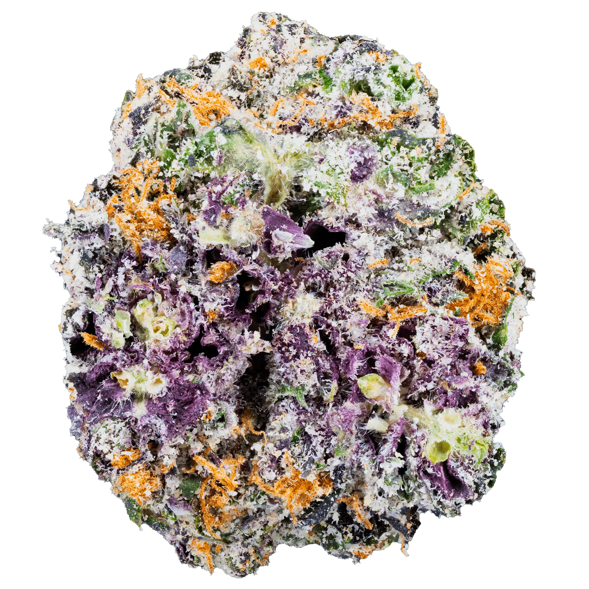 White Truffle – THCa Flower - Bay Smokes