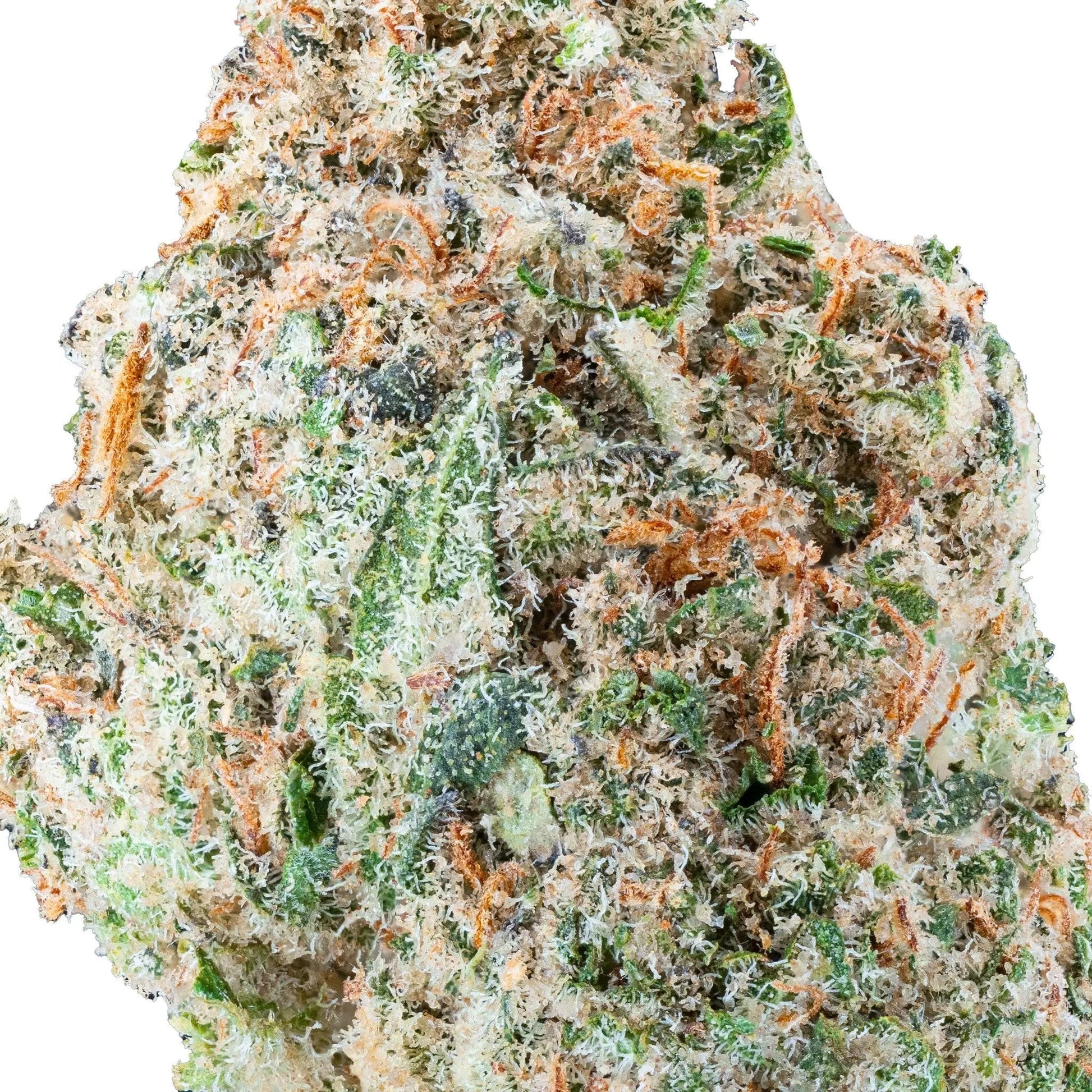 Cereal Milk – THCa Flower - Bay Smokes