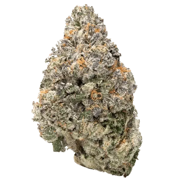 Bulk Discount Indoor Flower - Bay Smokes