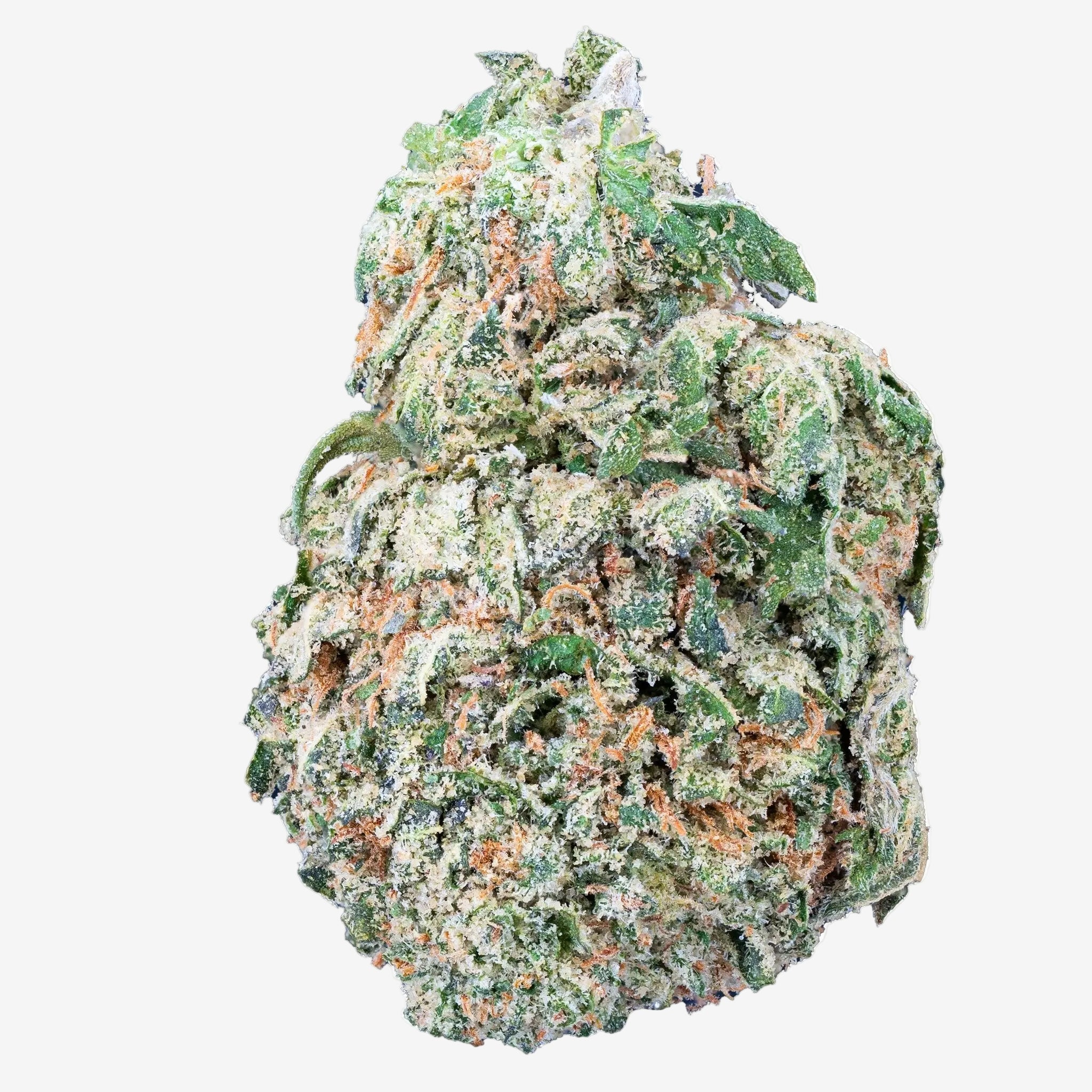 Mango Dream - THCa Flower - Bay Smokes