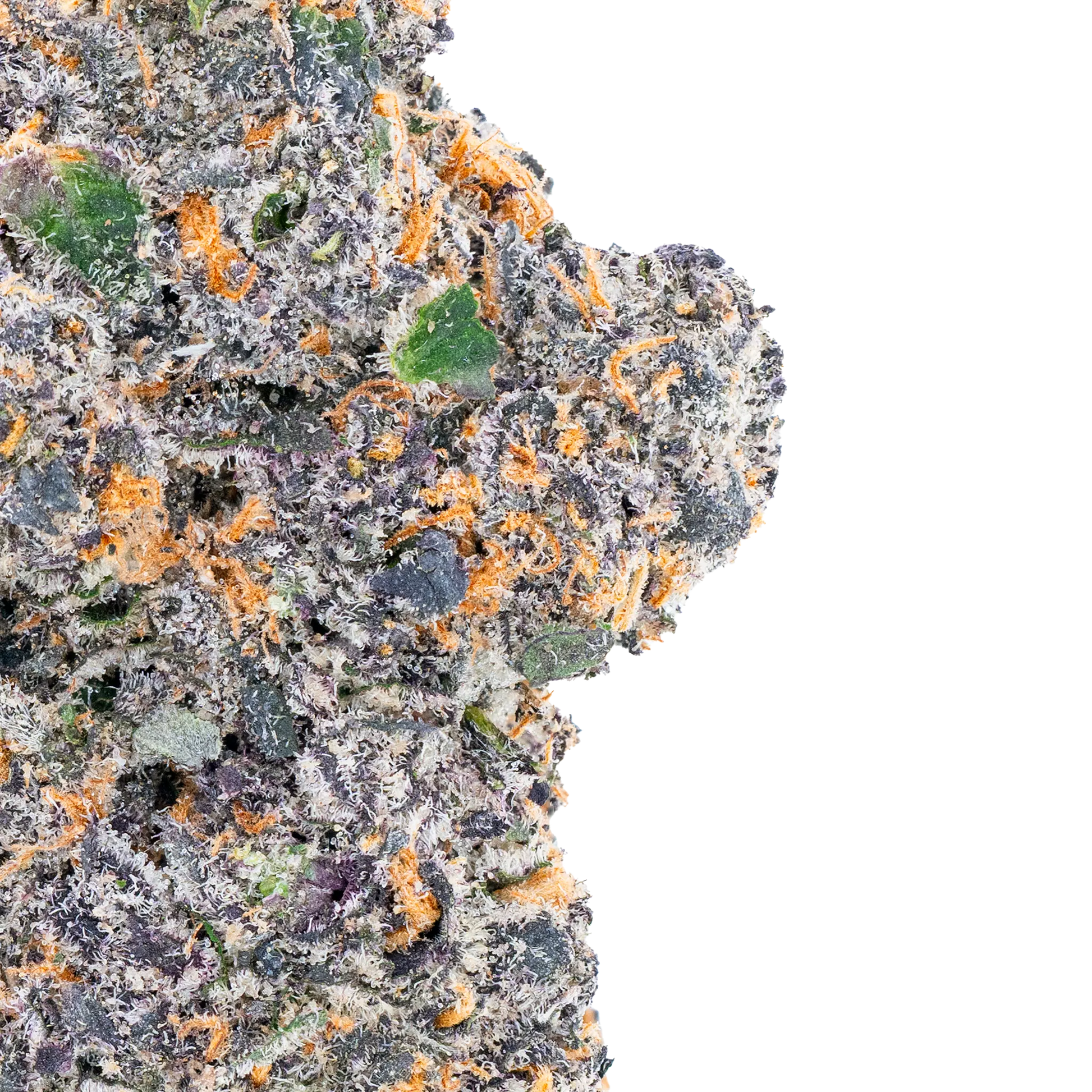 White Truffle THCa Flower Bay Smokes