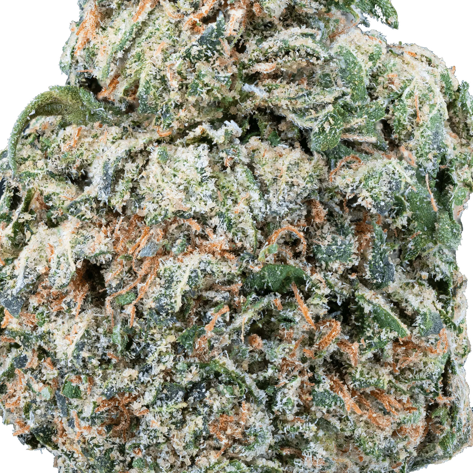 Mango Dream - THCa Flower - Bay Smokes