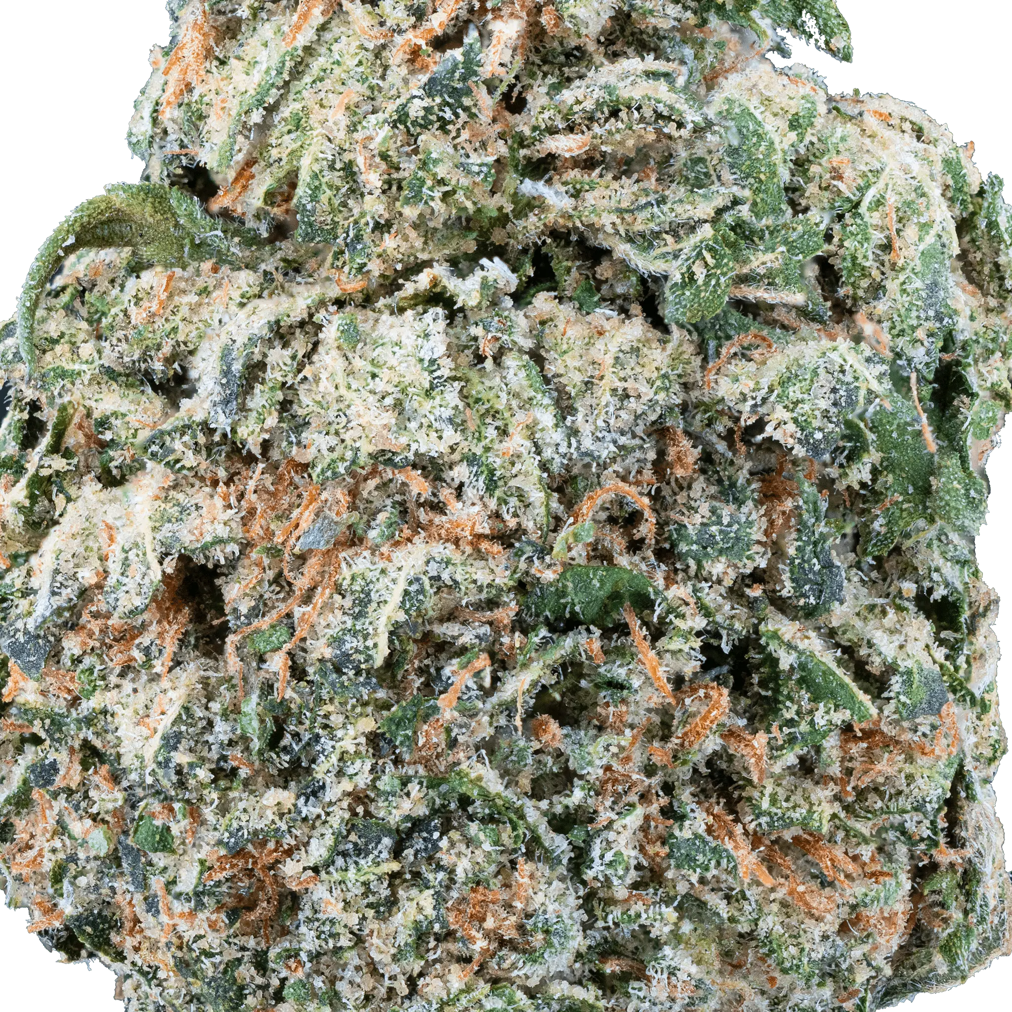 Mango Dream - THCa Flower - Bay Smokes