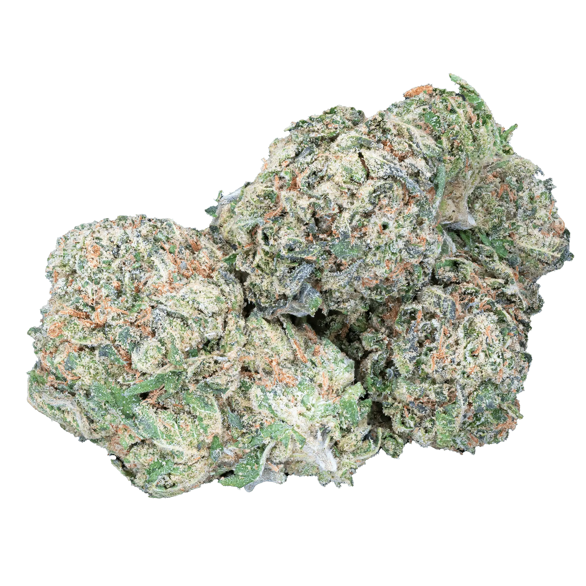 Mango Dream - THCa Flower - Bay Smokes