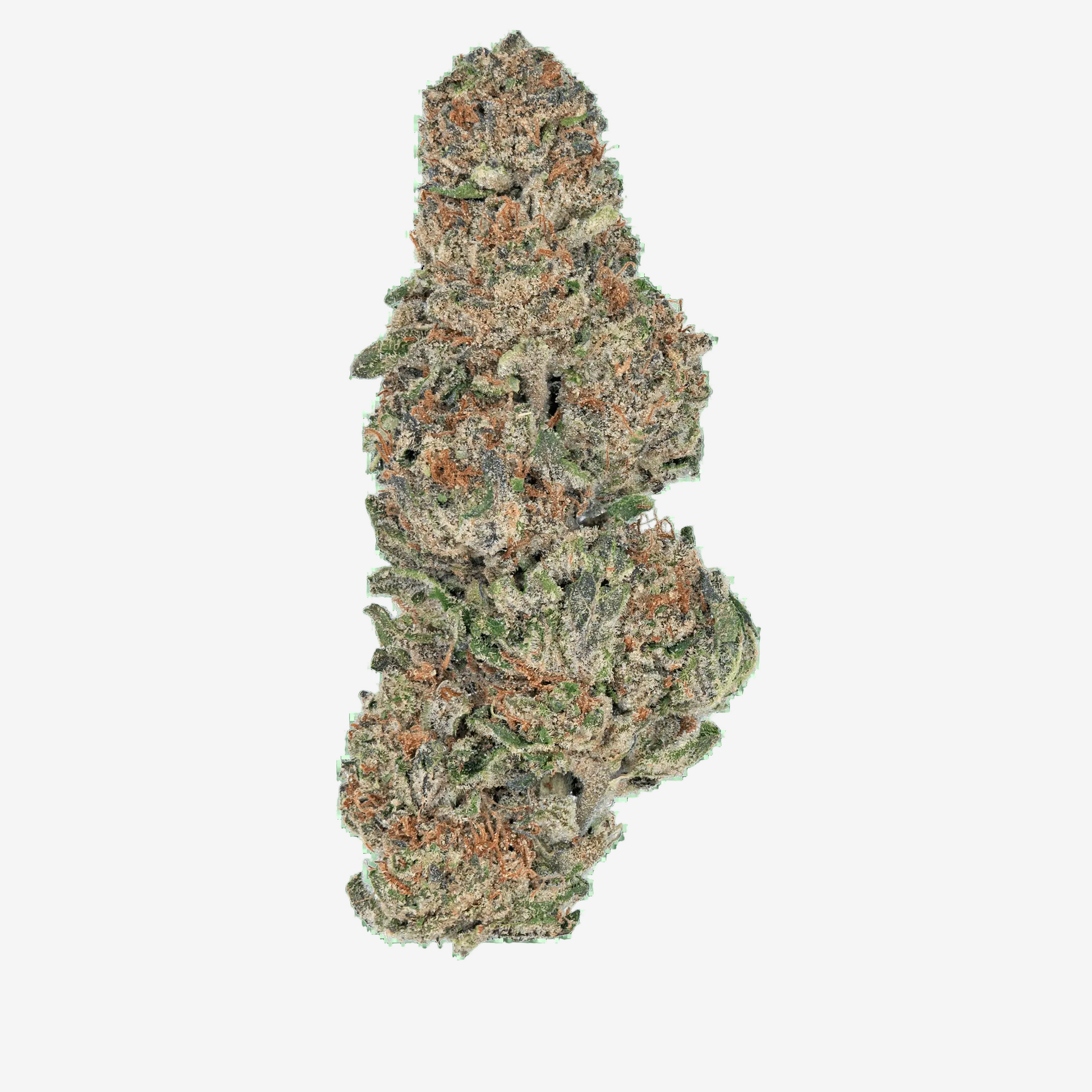 Bulk Greenhouse Flower - Bay Smokes