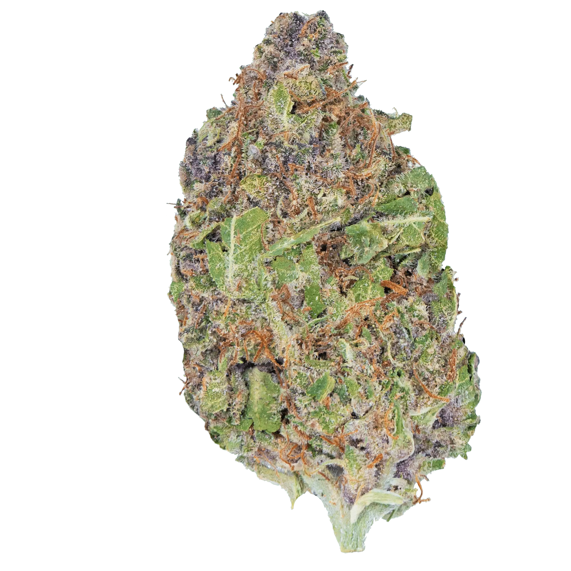 Cereal Milk – THCa Flower - Bay Smokes