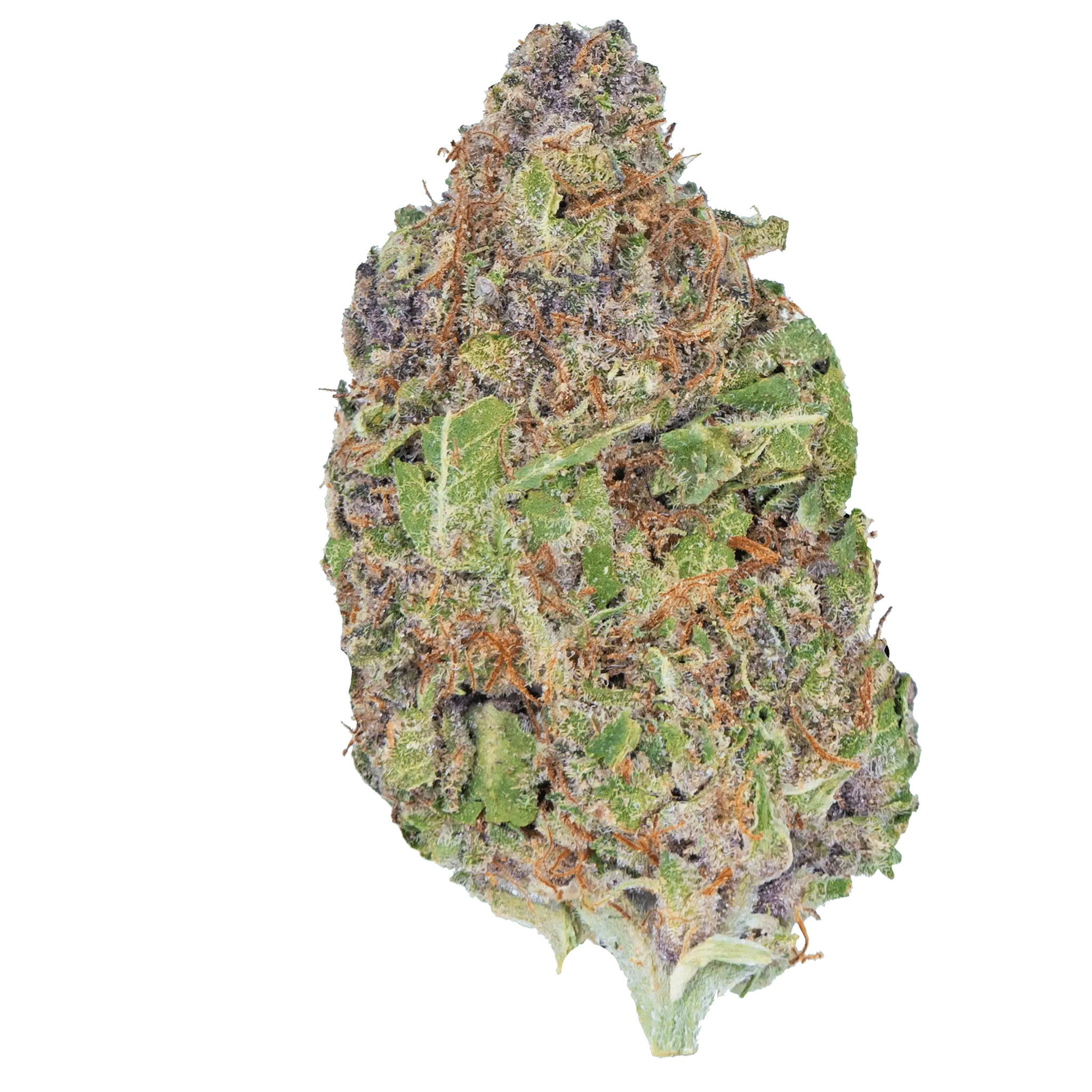 Cereal Milk – THCa Flower - Bay Smokes