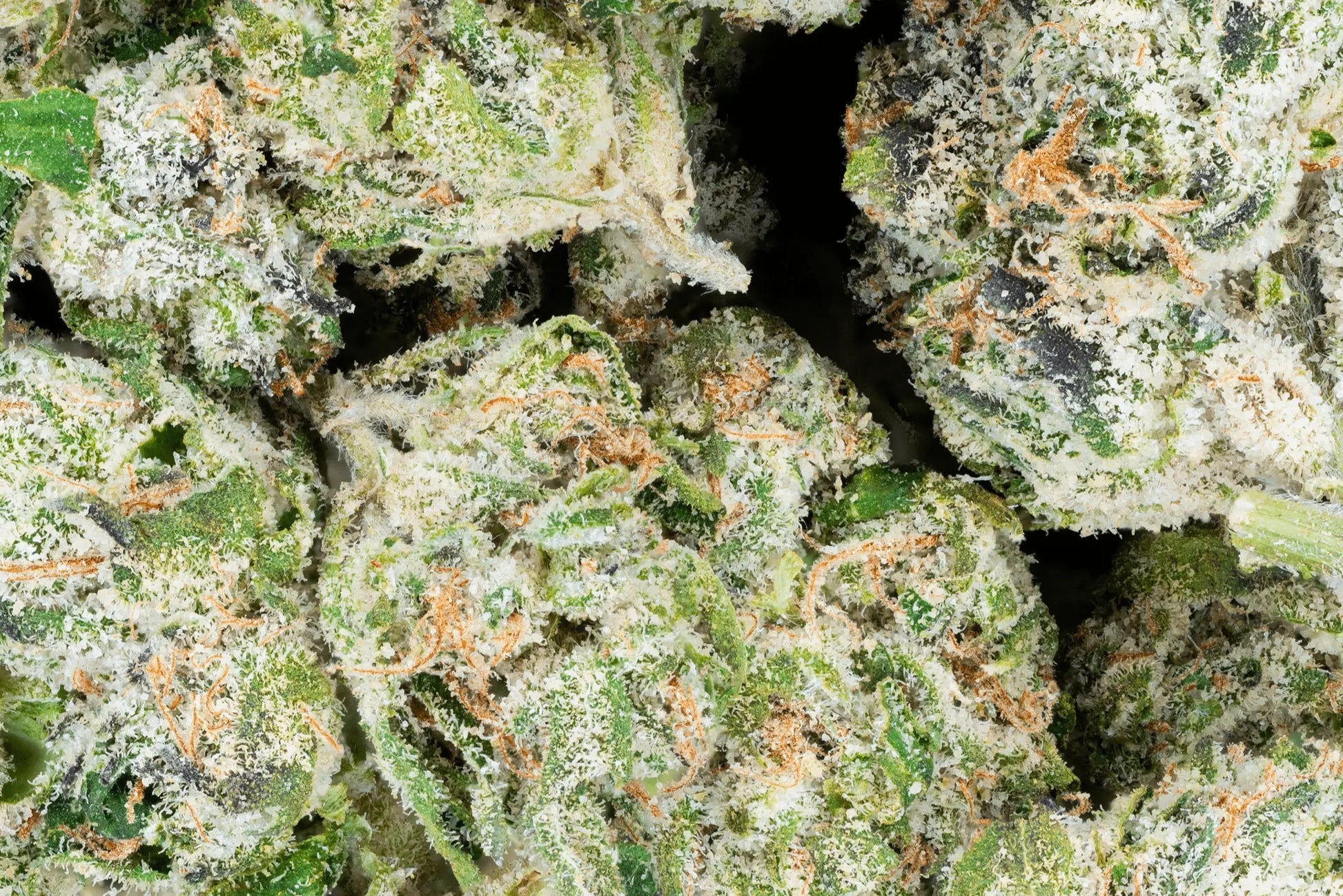 THCa Exotic Smalls - Bay Smokes