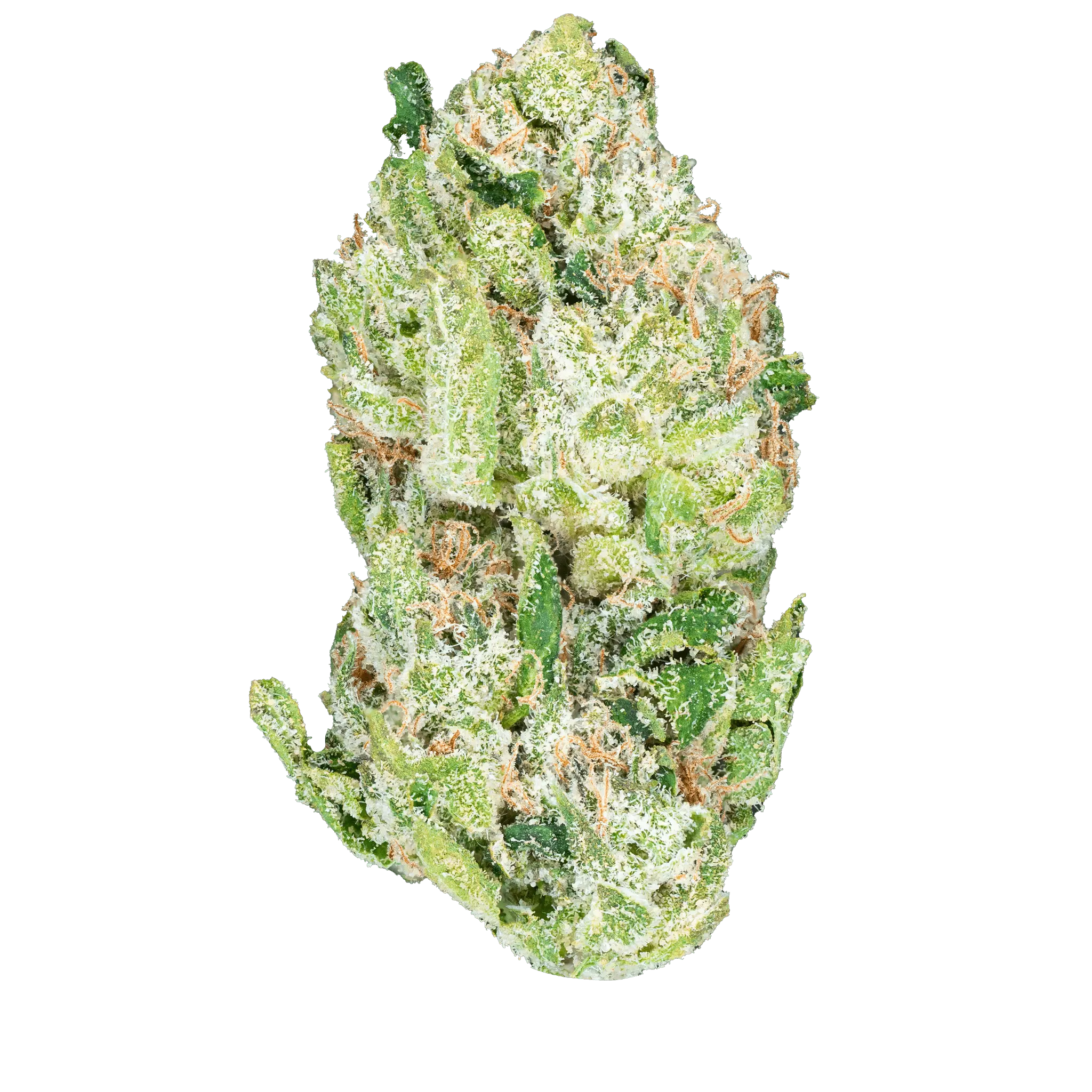 THCa Exotic Smalls - Bay Smokes