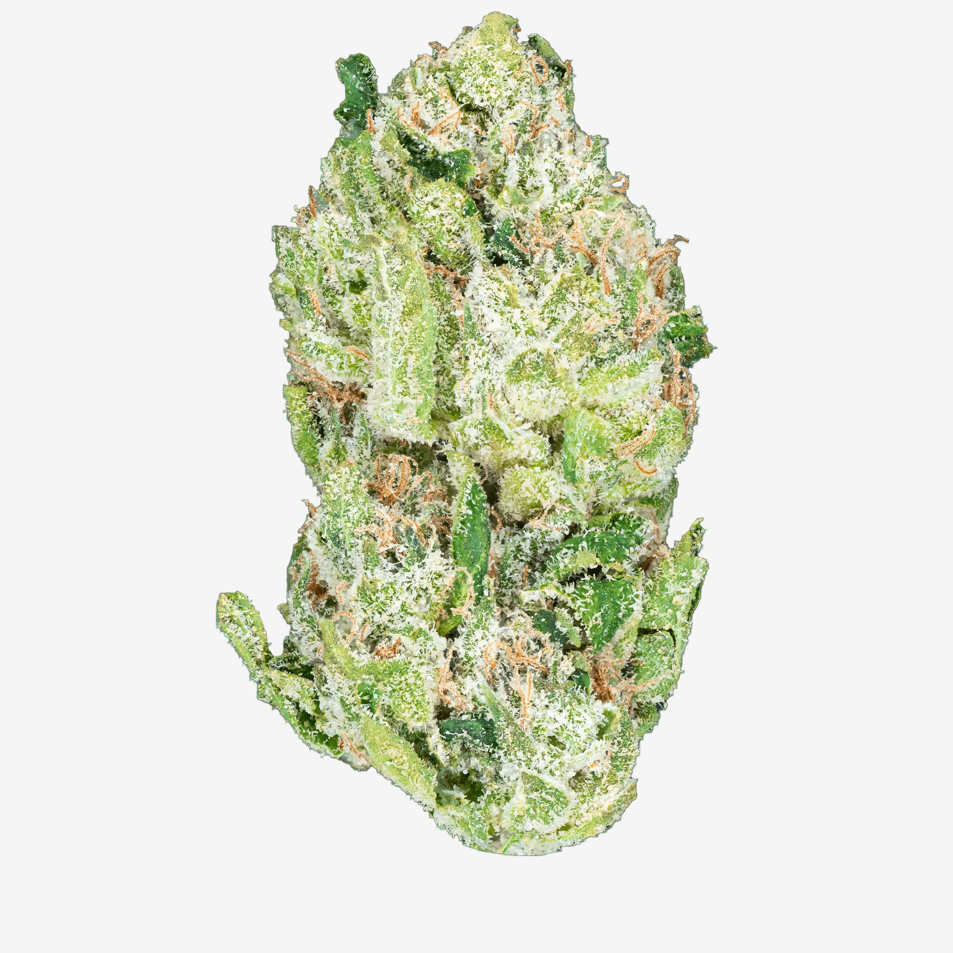 Blue Dream – THCa Flower - Bay Smokes