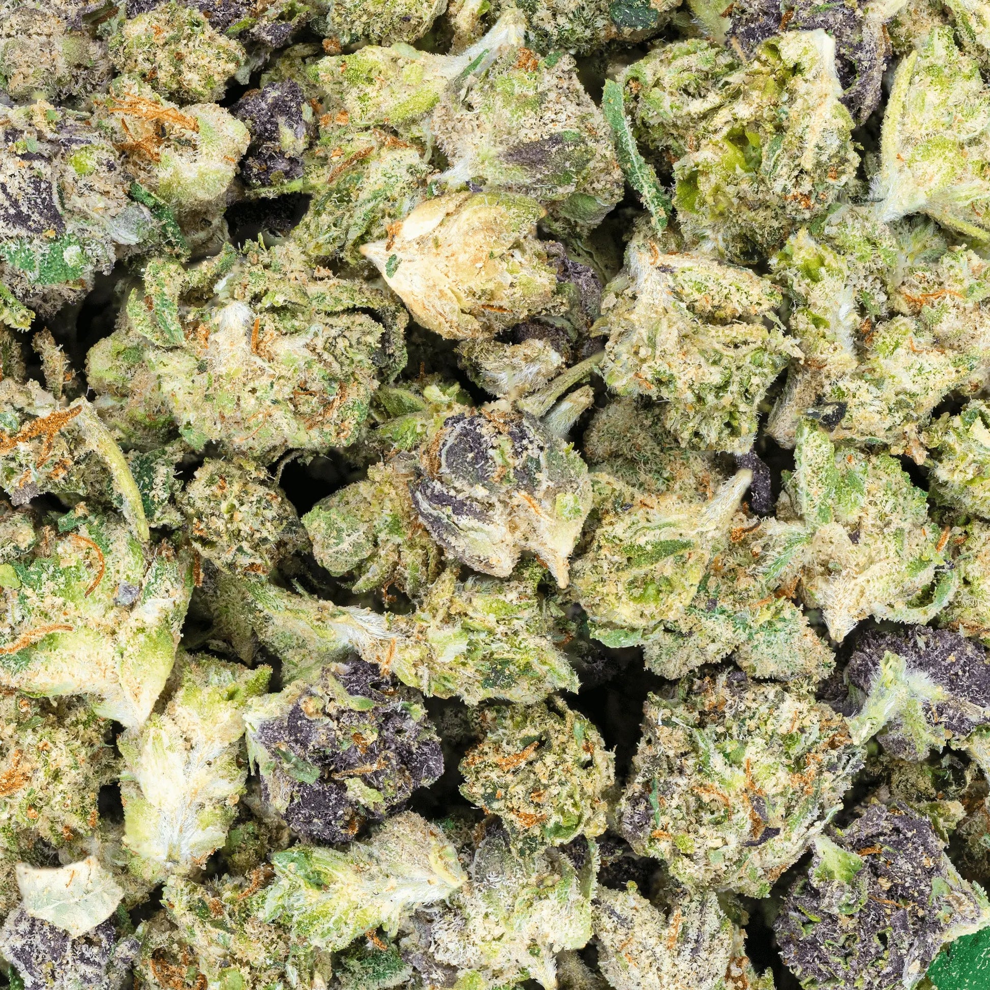 THCa Indoor Micros - Bay Smokes