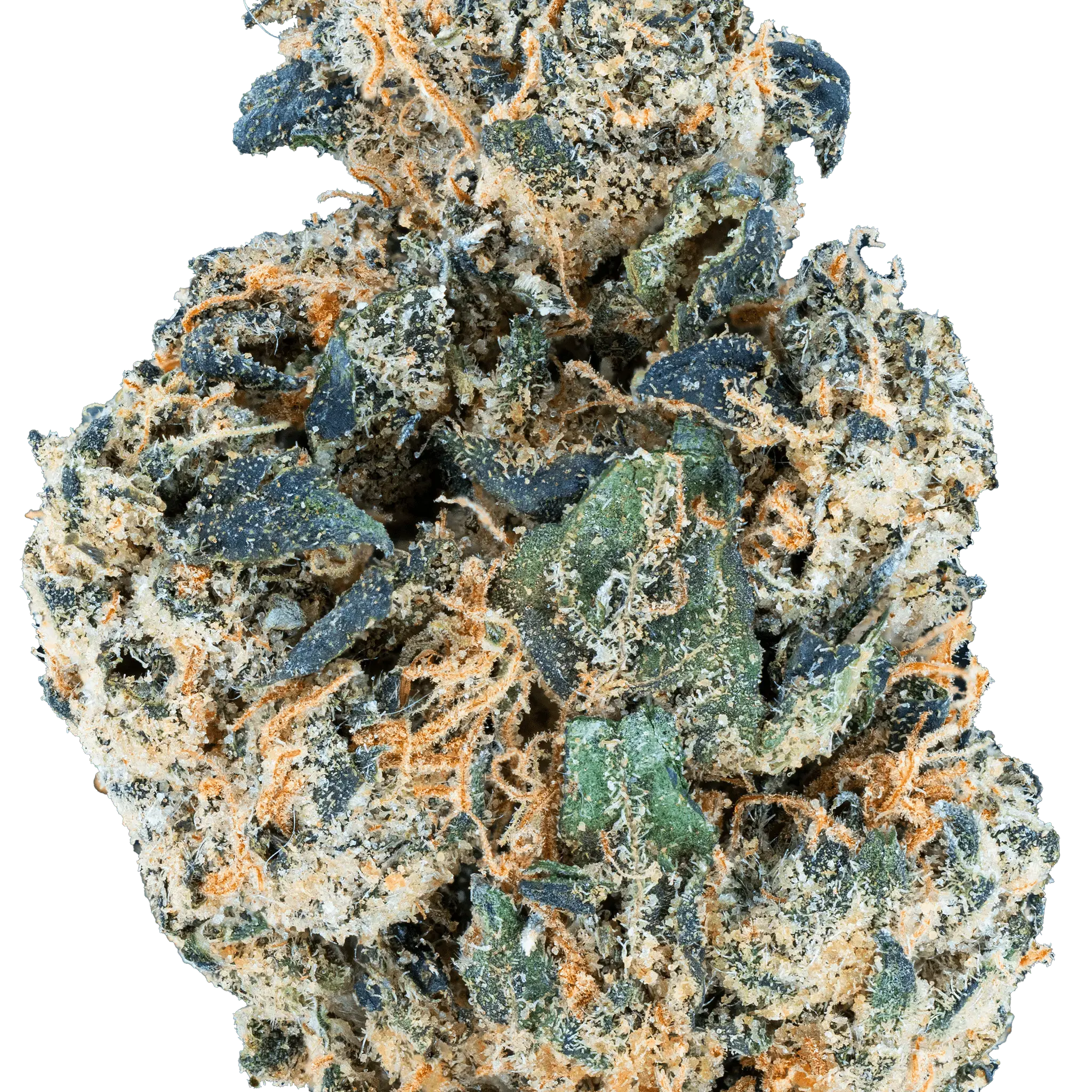 Bulk Mixlight Smalls - Bay Smokes