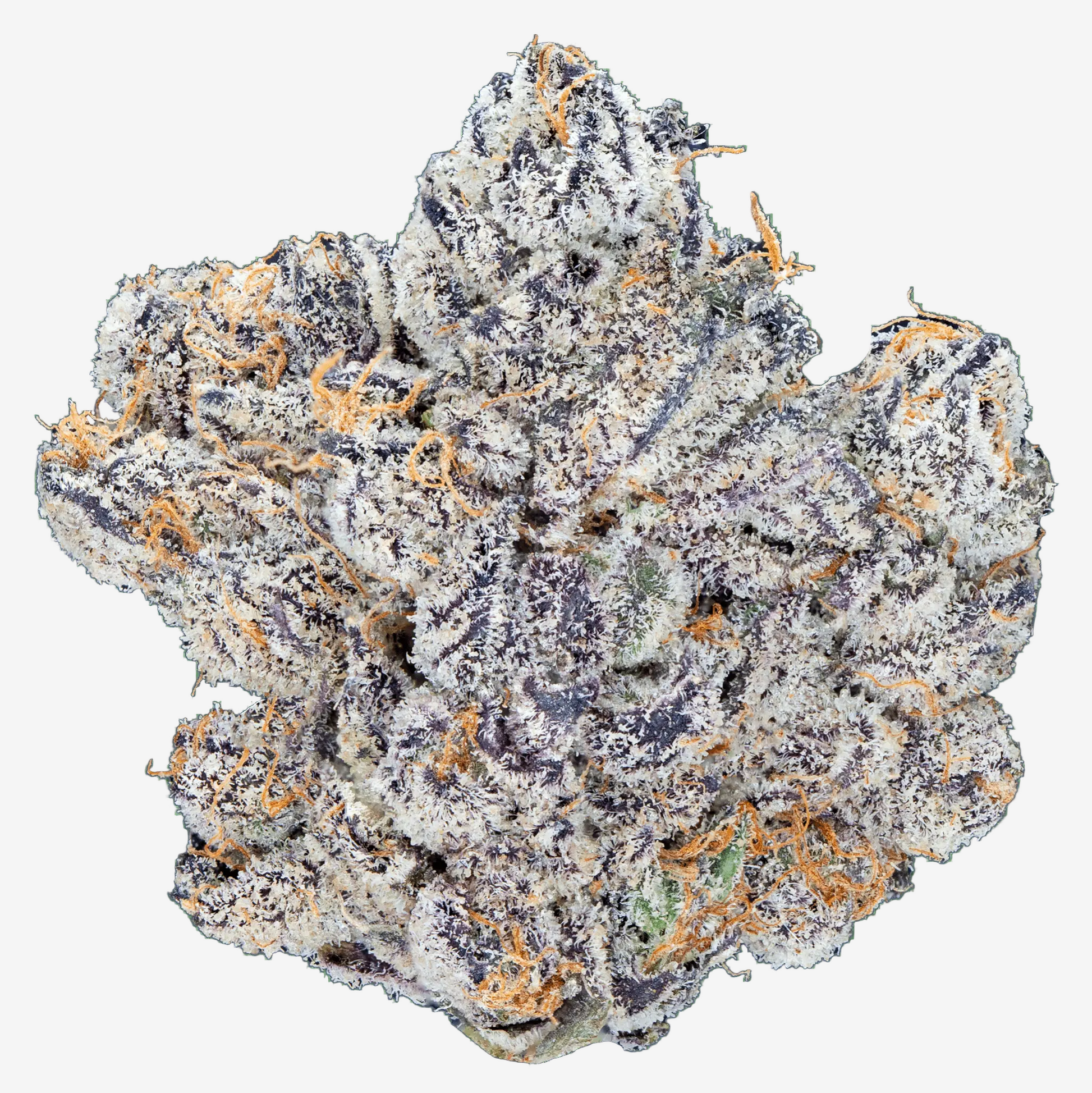 Permanent Marker - THCa Flower - Bay Smokes