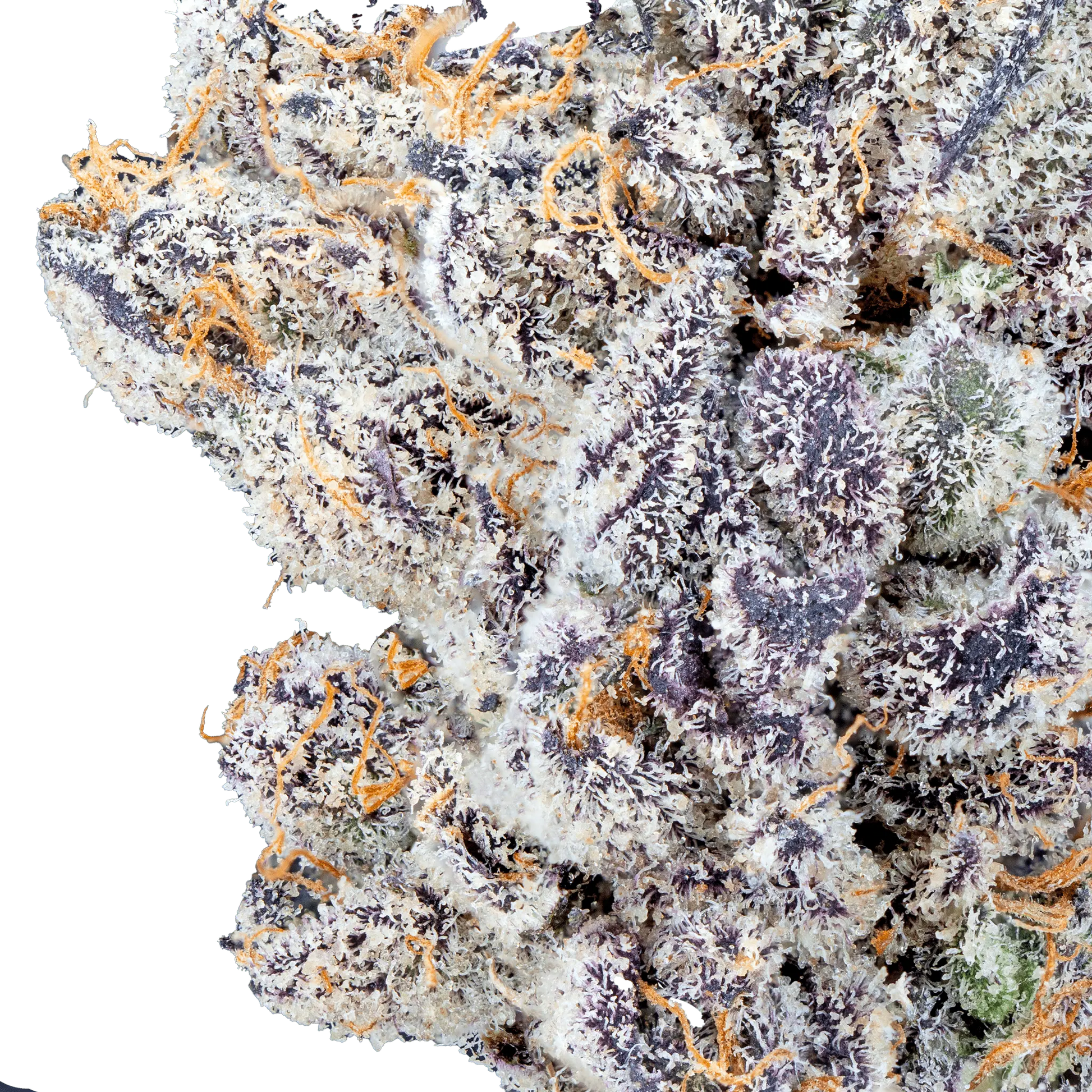 Permanent Marker - THCa Flower - Bay Smokes