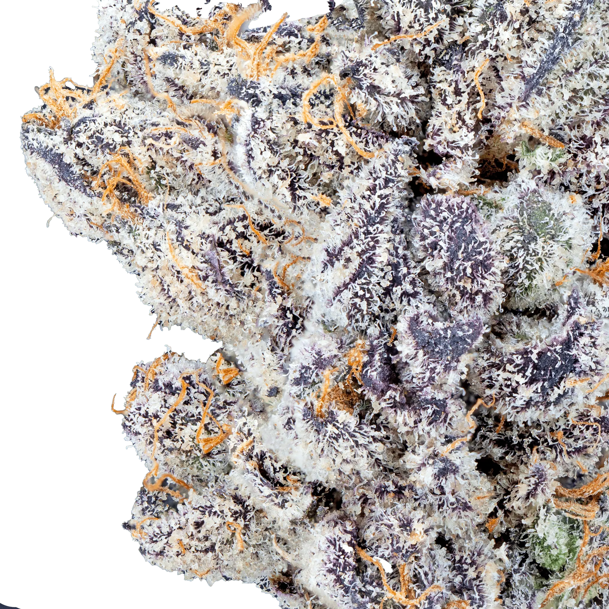 Permanent Marker - THCa Flower - Bay Smokes