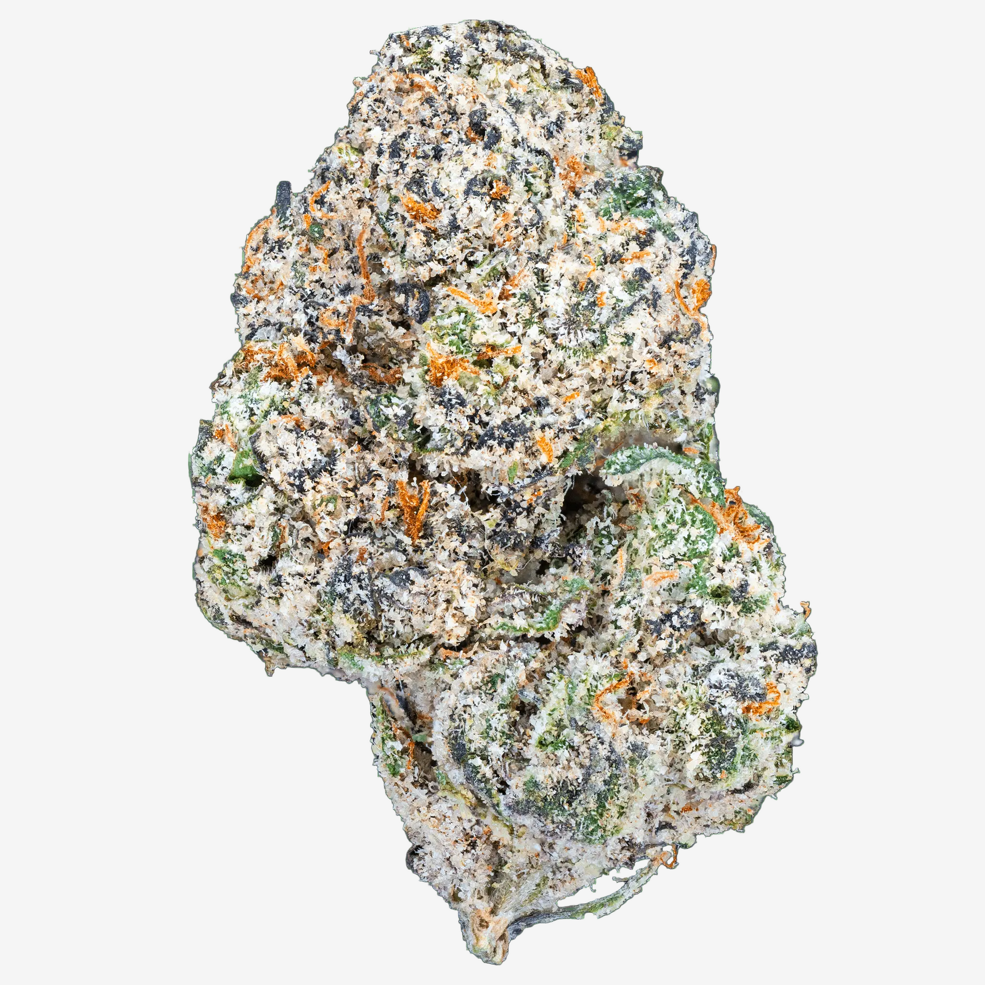 Blue Cherry Gelato– THCa Flower - Bay Smokes