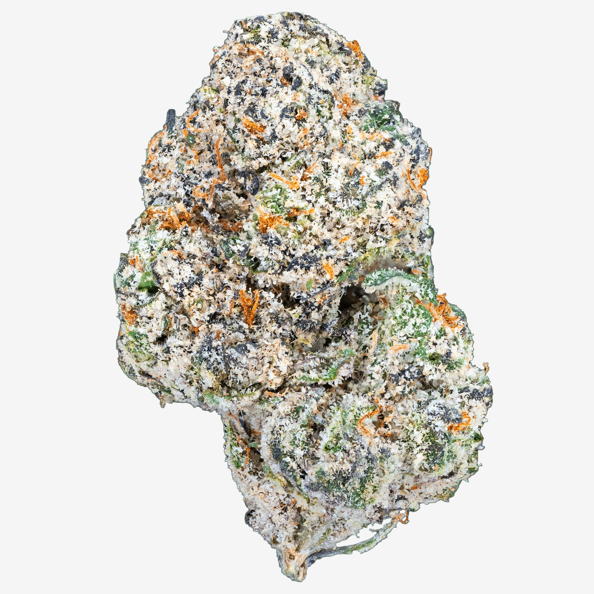 Blue Cherry Gelato– THCa Flower - Bay Smokes