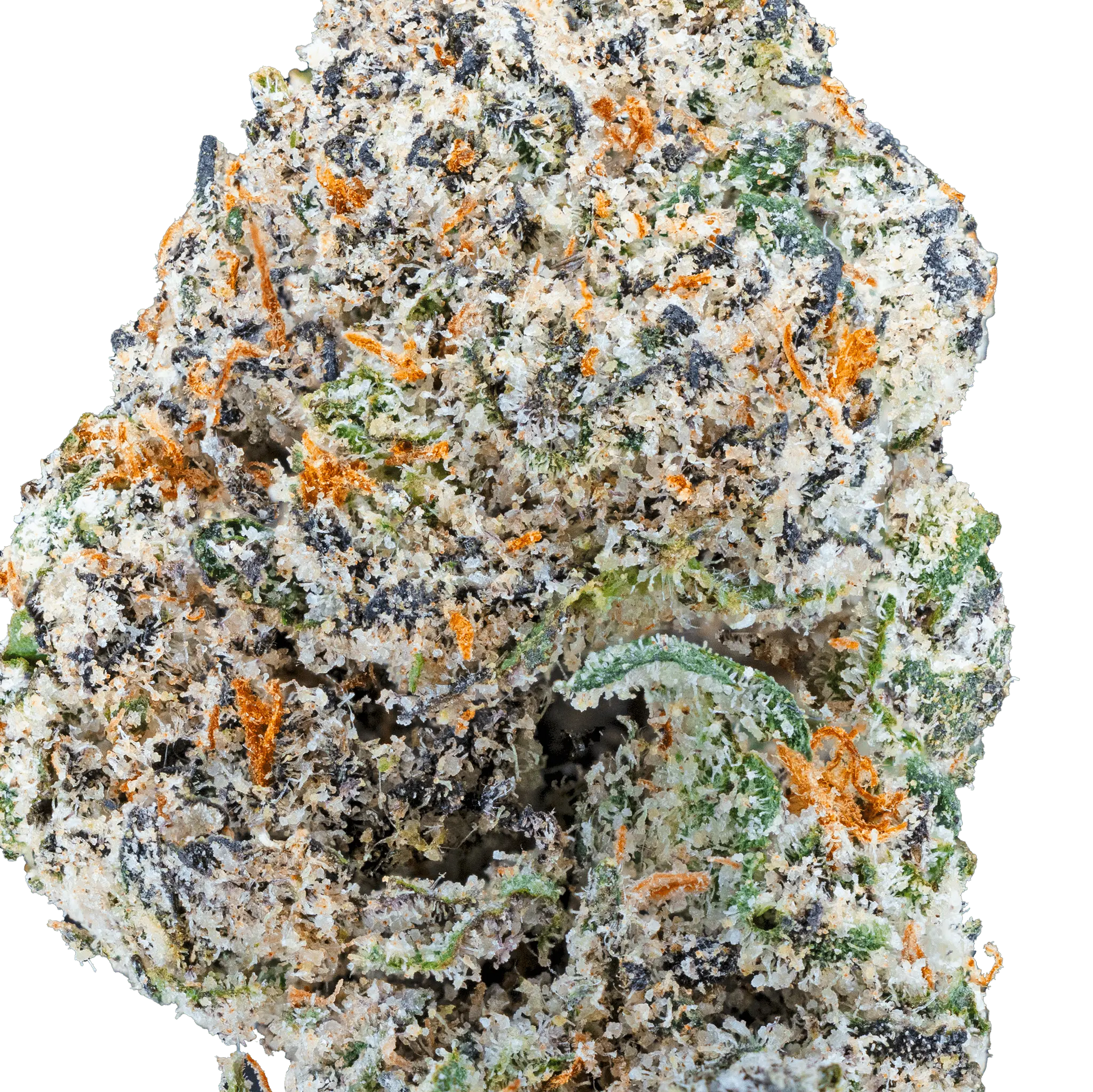 Blue Cherry Gelato– THCa Flower - Bay Smokes