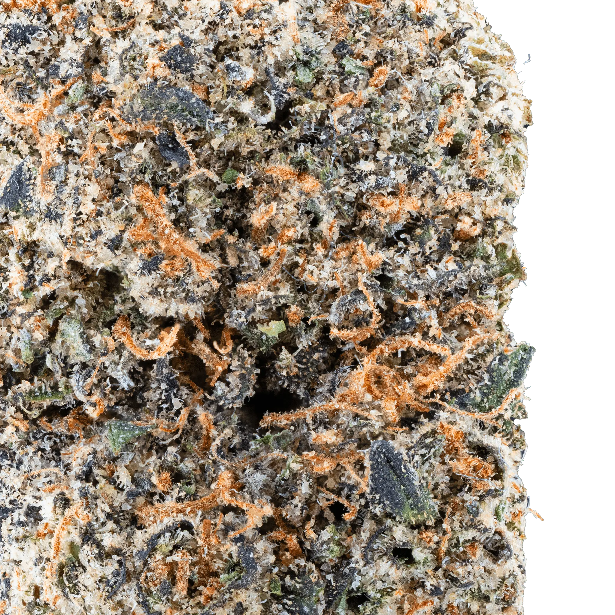 Cereal Milk – THCa Flower - Bay Smokes