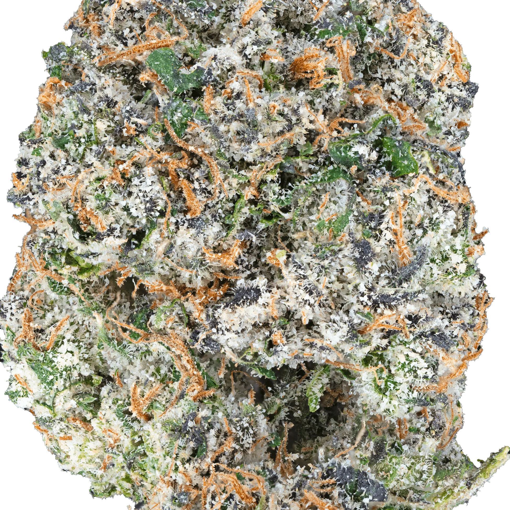 Cherry Zashimi – THCa Flower - Bay Smokes