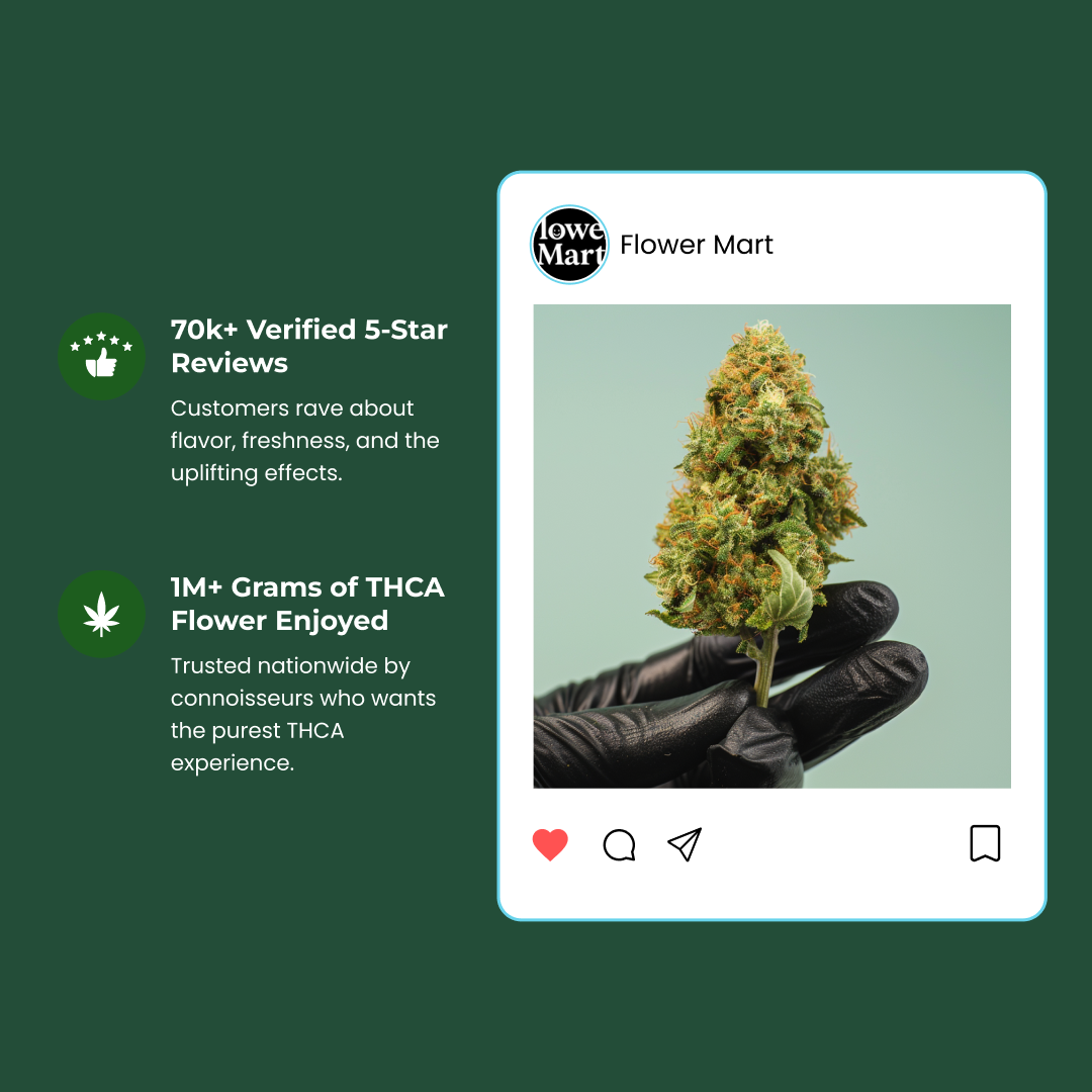 Chauffeur THCa Live Hash Rosin