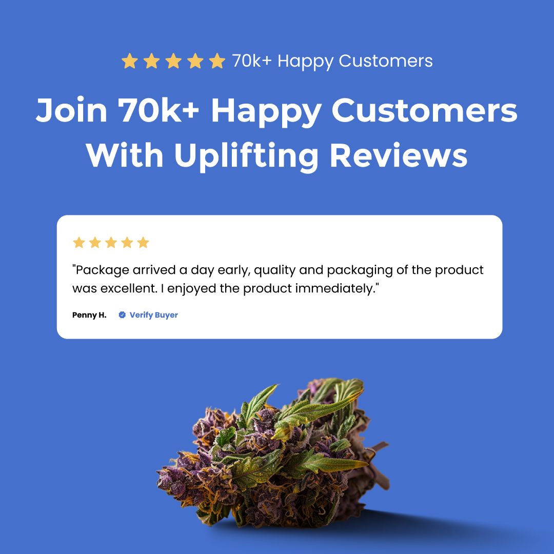 Chauffeur THCa Live Hash Rosin