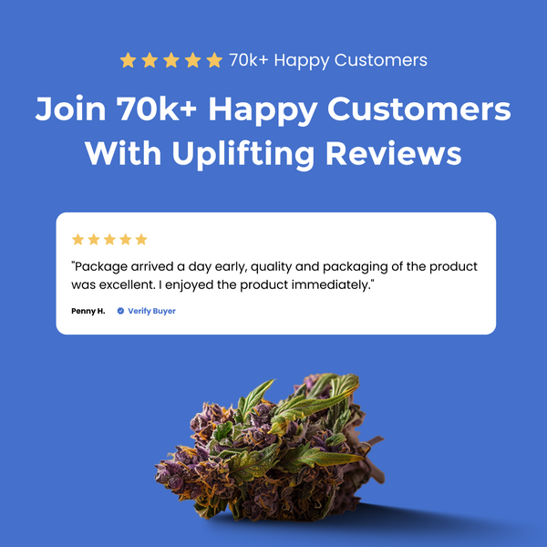 Blue Raspberry Sleep D9 Gummies - 10mg