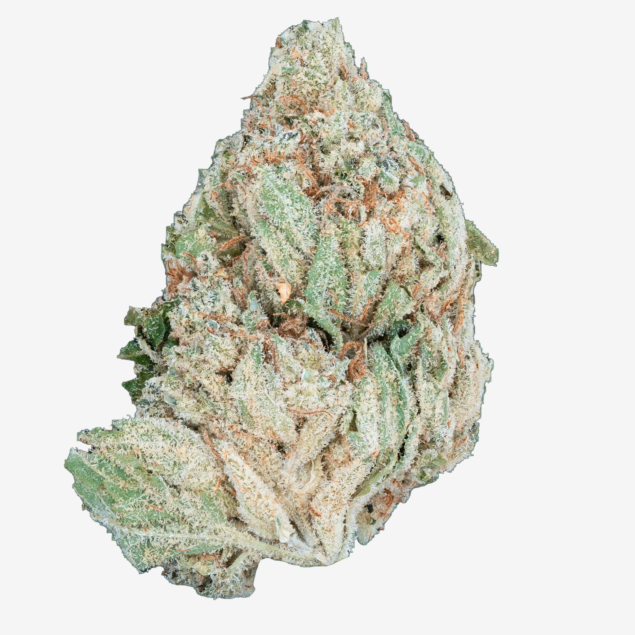 Strawberry Express – THCa Flower - Bay Smokes