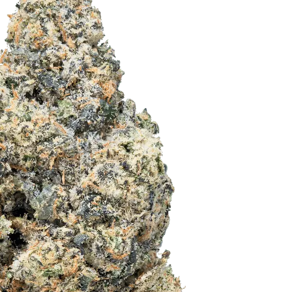 Purple Push Pop - THCa Flower - Bay Smokes