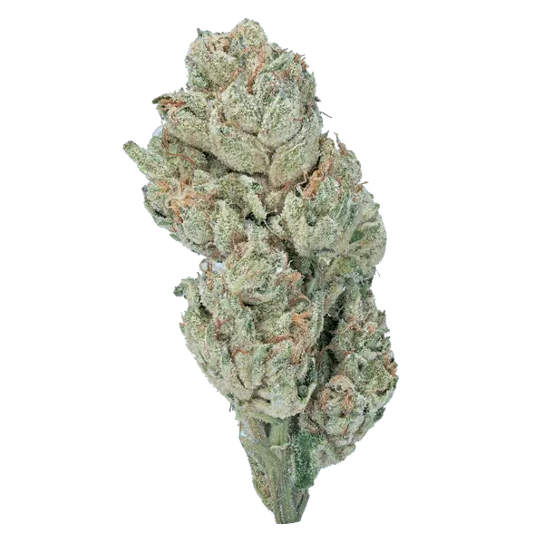 Wedding Crasher – THCa Flower - Bay Smokes