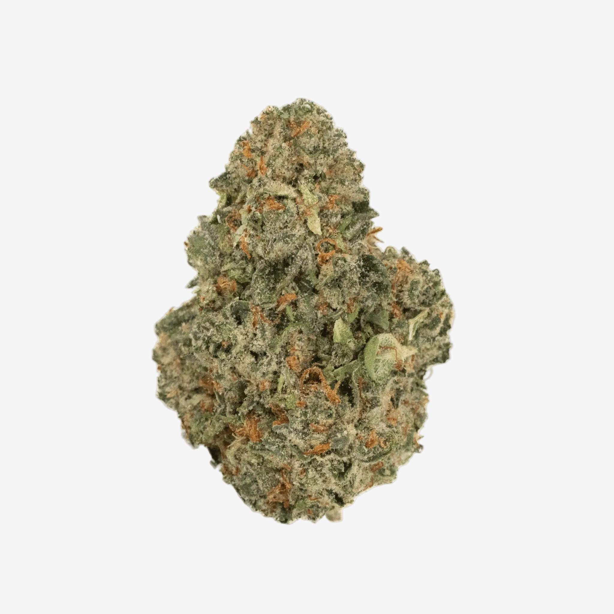 Horchata - THCa Flower - Bay Smokes