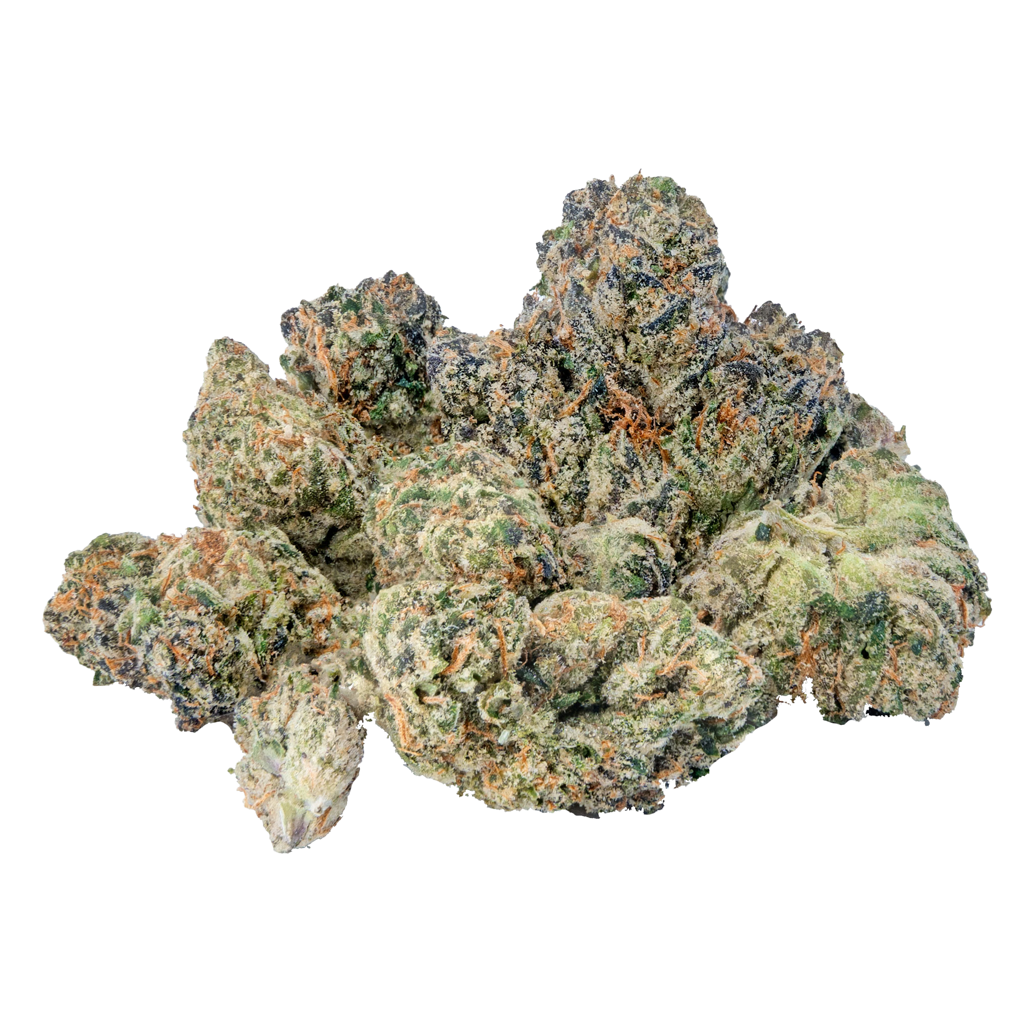 Exotic Mediums & Smalls